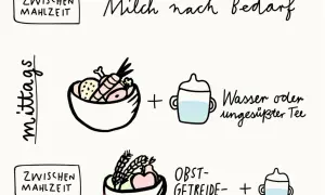 Schema für Beikost: Mittags Brei mit Gemüse und Fleisch, dazu Wasser. Zwischenmahlzeiten mit Obst-Getreide-Brei. Milch nach Bedarf vor oder nach Beikost.