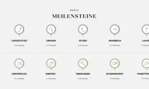 Übersicht der baby entwicklungsphasen: Grobmotorik (Liegestütze, Drehen, Sitzen, Krabbeln, Laufen) und Feinmotorik (Greifreflex, Greifen, Übergeben, Scherengriff, Pinzettengriff).