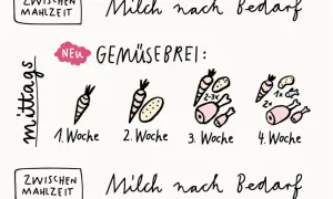 Schrittweise Einführung von Gemüsebrei: 1. Woche nur Karotte, 2. Woche Karotte & Kartoffel, 3. Woche mit Fleisch, 4. Woche mit Fisch. Milch nach Bedarf.