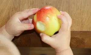 Kleine Hände halten einen Apfel, in den ein Baby hineingebissen hat. Der geriebene Apfel ist ein Zeichen für die ersten Entdeckungen.
