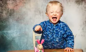 Ein Baby mit blonden Haaren schreit laut auf, die Augen geschlossen. Es trägt einen blauen Strickpullover und sitzt vor einem Spielzeug-Häschen. Ein kleiner affektkrampf baby.