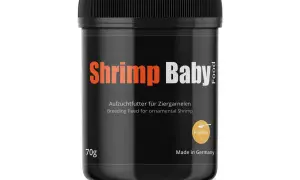 Dose "Shrimp Baby" Aufzuchtfutter für Zwerggarnelen. Ab wann kann man Garnelen Baby füttern? Dieses Futter ist ideal für den Nachwuchs.