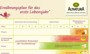 Ernährungsplan zeigt, wie lange Babys Brei essen: ab dem 5. Monat Beikost, ab dem 10. Monat Übergang zur Familienkost.