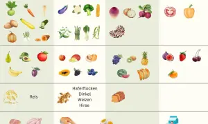 Beikostplan vom Bundesministerium: Gemüse, Obst, Getreide, Fisch und Fleisch für Babys ab dem 5. Monat.