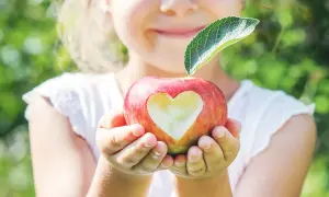 Ein Kind hält einen Apfel mit einem Herz-Ausschnitt. Ein Blatt ziert den Stiel. Ein süßer Apfel für die Stillzeit.