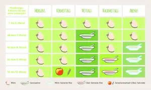Ernährungsplan: Milch bis 6. Monat, dann Beikost wie Gemüsebrei, Milch-Getreide-Brei, Obst-Getreide-Brei und Zwischenmahlzeiten.