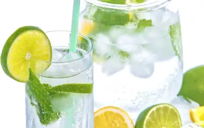 Erfrischendes Bitter Lemon mit Limette und Minze, perfekt für die Stillzeit. Eiswürfel und Zitrusfrüchte sorgen für kühle Erfrischung.