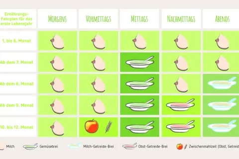 Ernährungsplan für Baby ab 9 Monaten: Milch, Gemüsebrei, Obst-Getreide-Brei und Zwischenmahlzeiten.