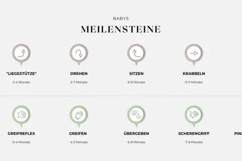 Übersicht der baby entwicklungsphasen: Grobmotorik (Liegestütze, Drehen, Sitzen, Krabbeln, Laufen) und Feinmotorik (Greifreflex, Greifen, Übergeben, Scherengriff, Pinzettengriff).
