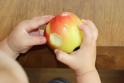 Kleine Hände halten einen Apfel, in den ein Baby hineingebissen hat. Der geriebene Apfel ist ein Zeichen für die ersten Entdeckungen.