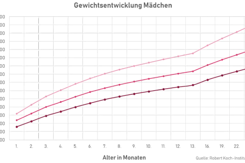 Diagramm zeigt die Gewichtsentwicklung von Mädchen. Die Linien P3, P50 und P97 stellen Perzentile dar, die die normale Gewichtszunahme eines Babys über die ersten 25 Monate abbilden.