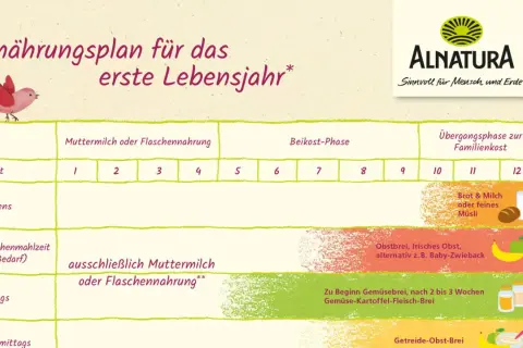 Ernährungsplan zeigt, wie lange Babys Brei essen: ab dem 5. Monat Beikost, ab dem 10. Monat Übergang zur Familienkost.