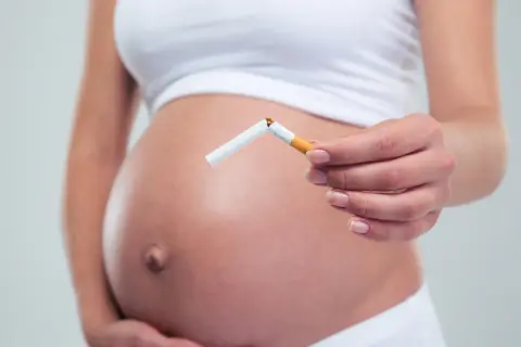 Schwanger, die eine zerbrochene Zigarette hält. Nikotin in Muttermilch schadet dem Baby.