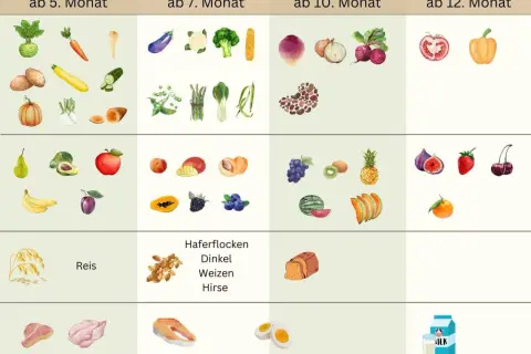 Beikostplan vom Bundesministerium: Gemüse, Obst, Getreide, Fisch und Fleisch für Babys ab dem 5. Monat.