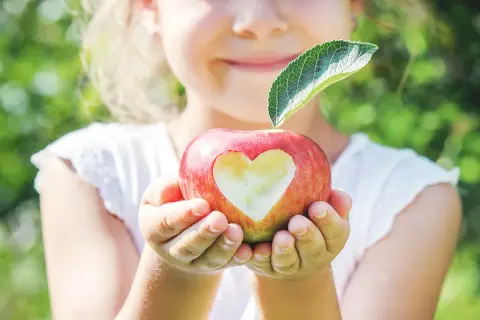 Ein Kind hält einen Apfel mit einem Herz-Ausschnitt. Ein Blatt ziert den Stiel. Ein süßer Apfel für die Stillzeit.