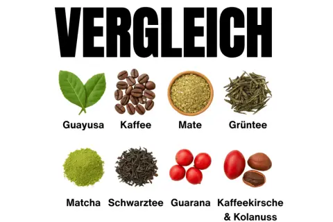 Vergleich von belebenden Getränken: Guayusa, Kaffee, Mate, Grüntee, Matcha, Schwarztee, Guarana und Kaffeekirsche & Kolanuss. Guarana ist eine Option für die Stillzeit.