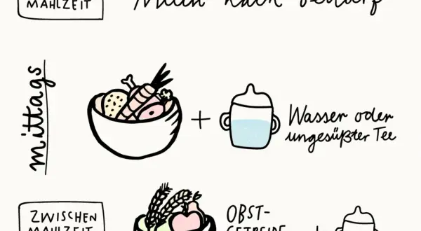 Schema für Beikost: Mittags Brei mit Gemüse und Fleisch, dazu Wasser. Zwischenmahlzeiten mit Obst-Getreide-Brei. Milch nach Bedarf vor oder nach Beikost.