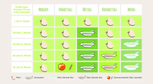 Ernährungsplan für Baby ab 9 Monaten: Milch, Gemüsebrei, Obst-Getreide-Brei und Zwischenmahlzeiten.