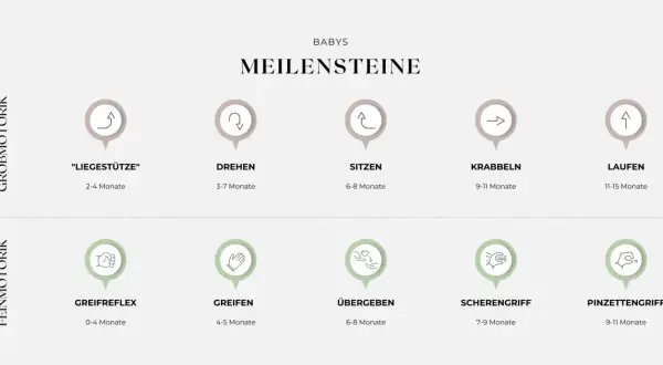 Übersicht der baby entwicklungsphasen: Grobmotorik (Liegestütze, Drehen, Sitzen, Krabbeln, Laufen) und Feinmotorik (Greifreflex, Greifen, Übergeben, Scherengriff, Pinzettengriff).