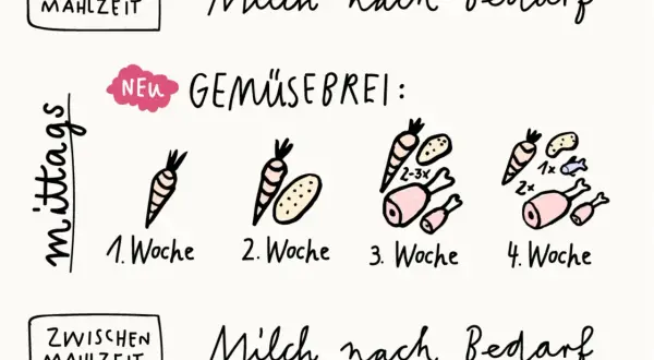 Schrittweise Einführung von Gemüsebrei: 1. Woche nur Karotte, 2. Woche Karotte & Kartoffel, 3. Woche mit Fleisch, 4. Woche mit Fisch. Milch nach Bedarf.