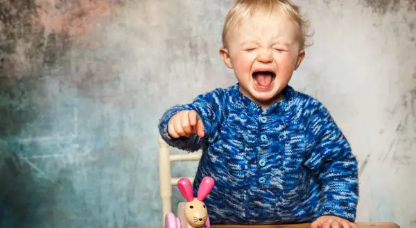 Ein Baby mit blonden Haaren schreit laut auf, die Augen geschlossen. Es trägt einen blauen Strickpullover und sitzt vor einem Spielzeug-Häschen. Ein kleiner affektkrampf baby.
