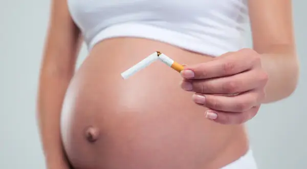 Schwanger, die eine zerbrochene Zigarette hält. Nikotin in Muttermilch schadet dem Baby.
