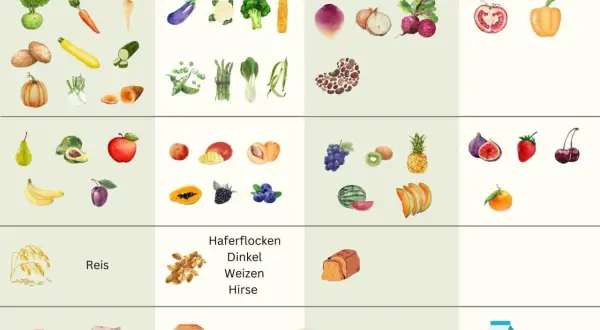 Beikostplan vom Bundesministerium: Gemüse, Obst, Getreide, Fisch und Fleisch für Babys ab dem 5. Monat.