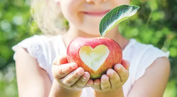 Ein Kind hält einen Apfel mit einem Herz-Ausschnitt. Ein Blatt ziert den Stiel. Ein süßer Apfel für die Stillzeit.