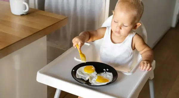 Kleines Kind im Hochstuhl versucht, Spiegeleier mit einer Gabel zu essen. Manche Eltern sehen dies als verbotene Lebensmittel im 2. Lebensjahr.
