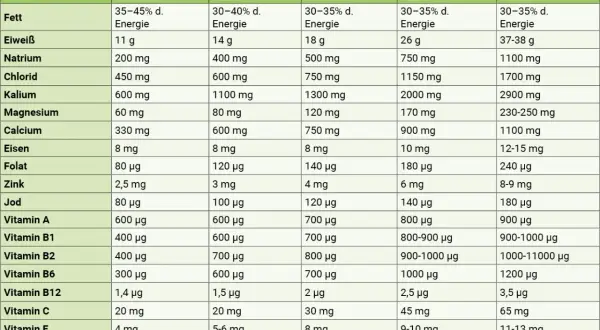 Übersicht der Nährstoffempfehlungen für verschiedene Altersgruppen. Diese mineralstoffe liste zeigt Mengen von Fett bis Vitamin K.