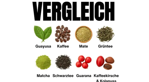 Vergleich von belebenden Getränken: Guayusa, Kaffee, Mate, Grüntee, Matcha, Schwarztee, Guarana und Kaffeekirsche & Kolanuss. Guarana ist eine Option für die Stillzeit.