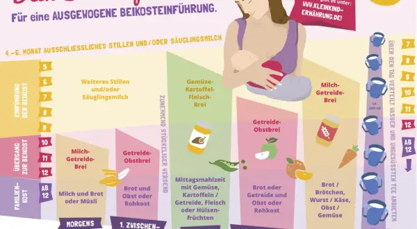 Beikostplan: ab wann Brot Baby? Ab dem 10. Monat Milch-Getreidebrei, ab dem 12. Monat Milch und Brot oder Müsli.