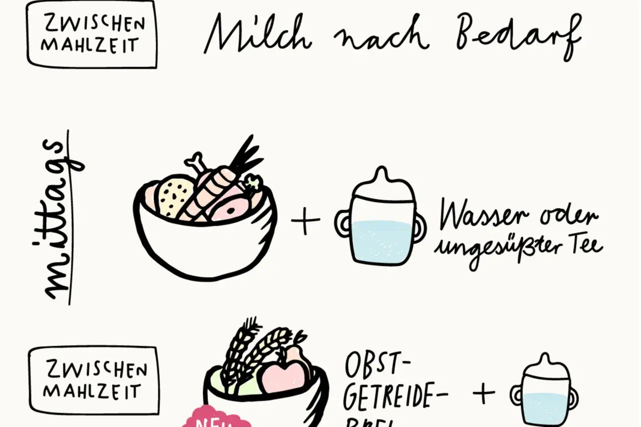 Schema für Beikost: Mittags Brei mit Gemüse und Fleisch, dazu Wasser. Zwischenmahlzeiten mit Obst-Getreide-Brei. Milch nach Bedarf vor oder nach Beikost.
