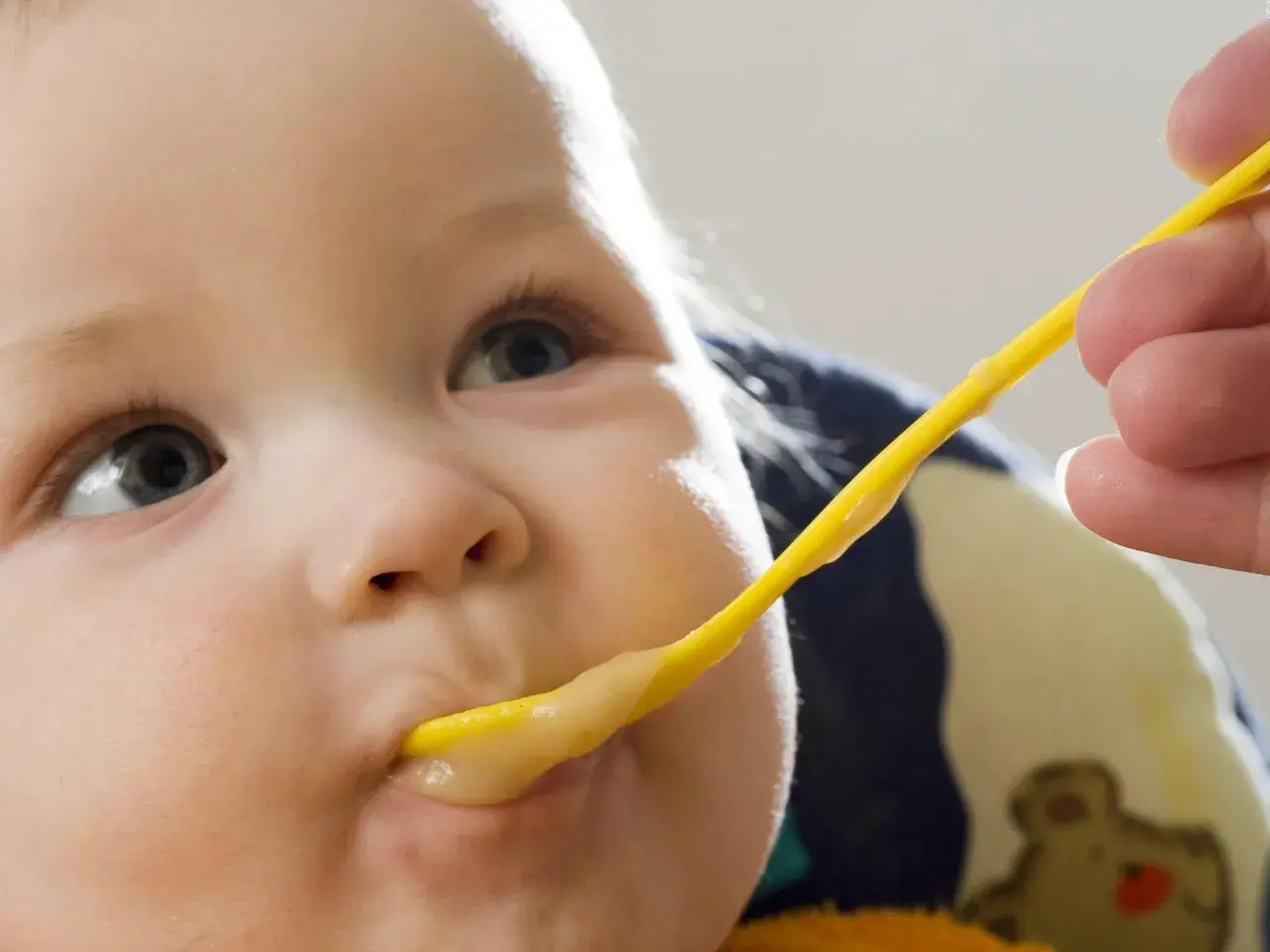 Ein Baby wird mit einem gelben Löffel gefüttert. Der Brei ist warm, perfekt zum babybrei warm halten.