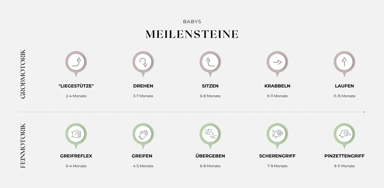 Übersicht der baby entwicklungsphasen: Grobmotorik (Liegestütze, Drehen, Sitzen, Krabbeln, Laufen) und Feinmotorik (Greifreflex, Greifen, Übergeben, Scherengriff, Pinzettengriff).