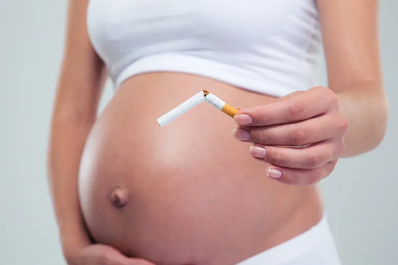 Schwanger, die eine zerbrochene Zigarette hält. Nikotin in Muttermilch schadet dem Baby.