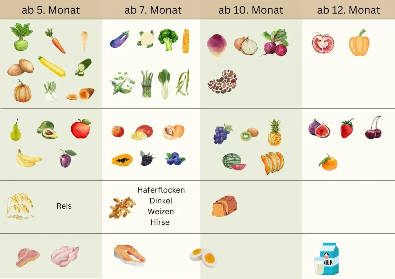 Beikostplan vom Bundesministerium: Gemüse, Obst, Getreide, Fisch und Fleisch für Babys ab dem 5. Monat.