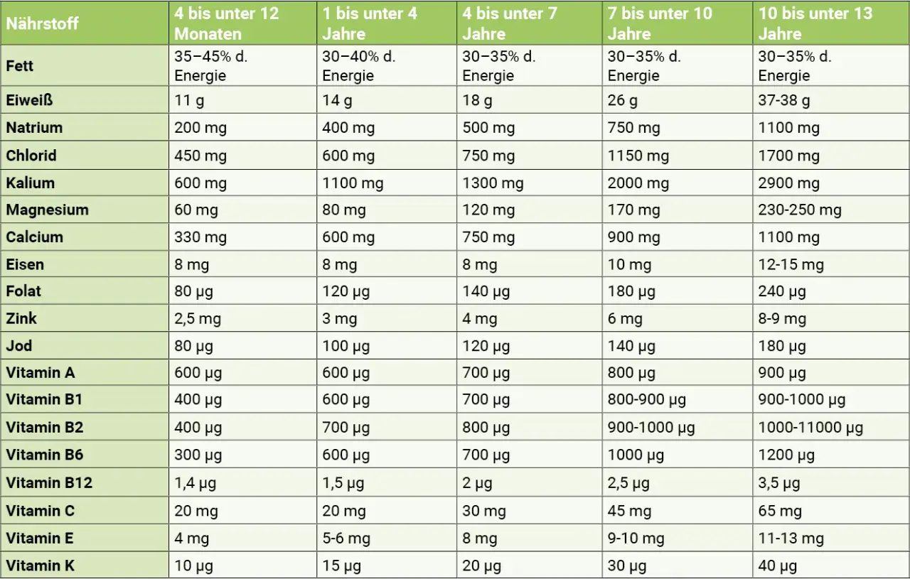 Übersicht der Nährstoffempfehlungen für verschiedene Altersgruppen. Diese mineralstoffe liste zeigt Mengen von Fett bis Vitamin K.
