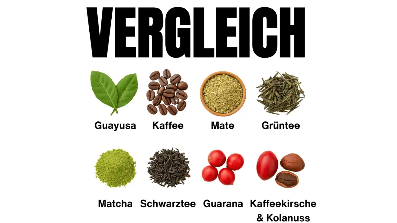 Vergleich von belebenden Getränken: Guayusa, Kaffee, Mate, Grüntee, Matcha, Schwarztee, Guarana und Kaffeekirsche & Kolanuss. Guarana ist eine Option für die Stillzeit.