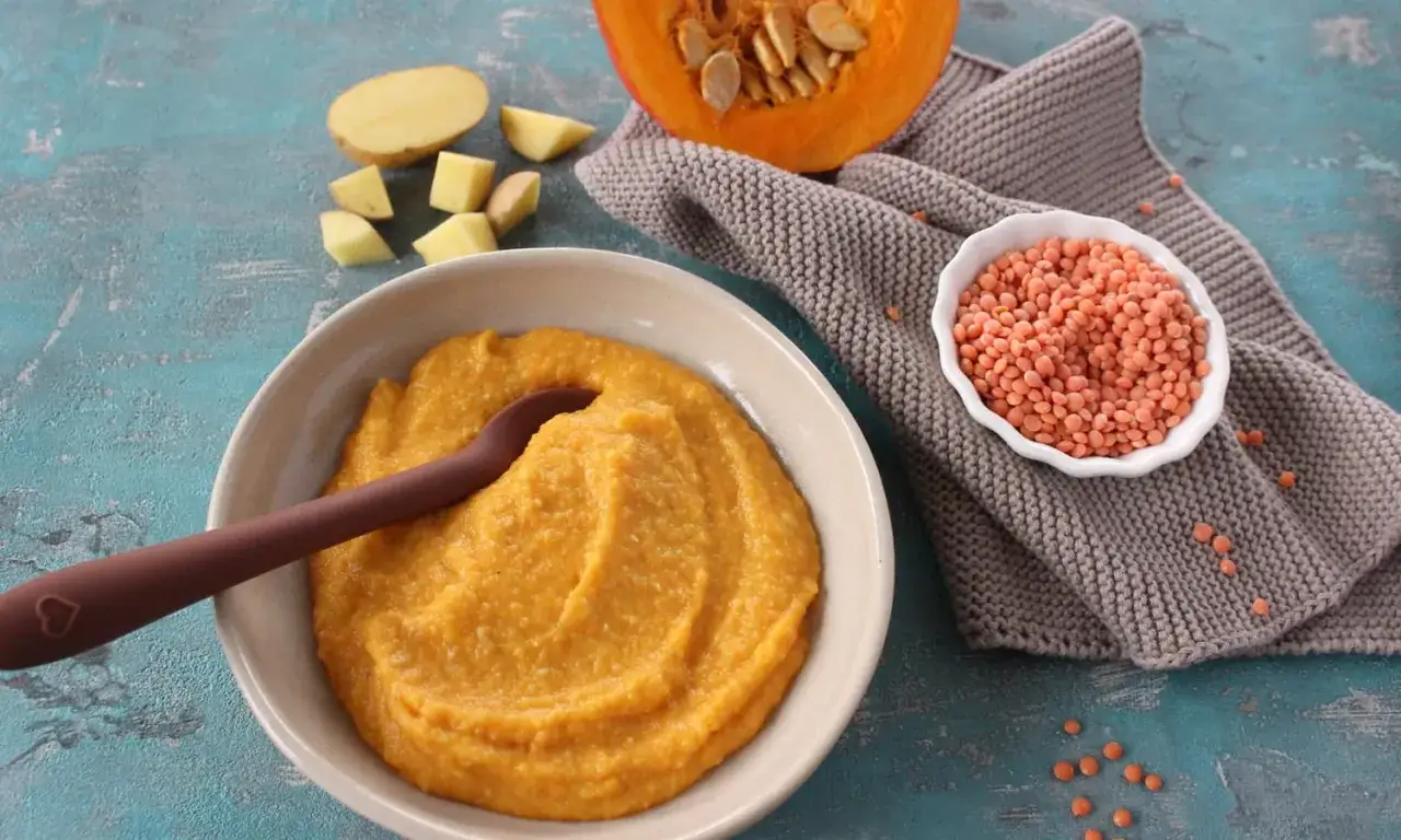 Brei aus K&uuml;rbis und Kartoffeln, perfekt f&uuml;r ein muskatnuss baby. Daneben rote Linsen und ein St&uuml;ck K&uuml;rbis.