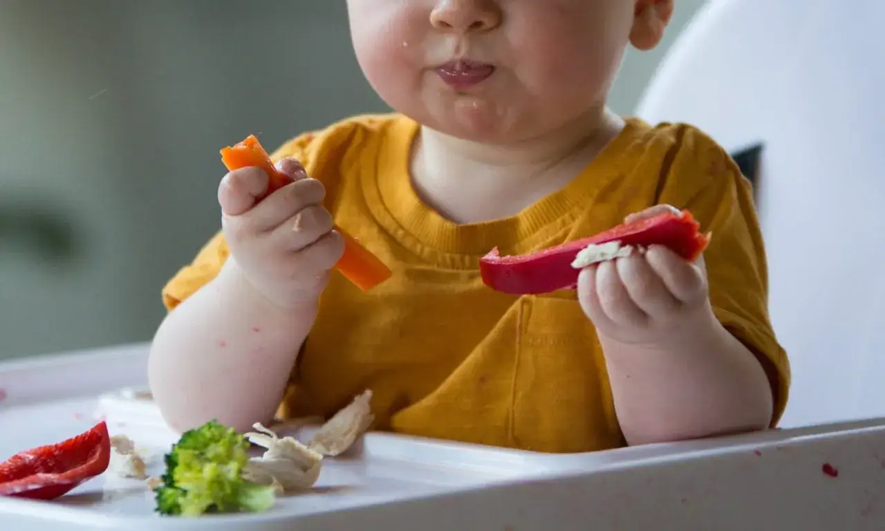 Kleines Baby isst Gem&uuml;se. Ab wann Brot Baby? Hier isst es Karotte und Paprika.
