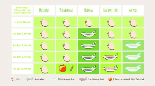 Ernährungsplan für Baby ab 9 Monaten: Milch, Gemüsebrei, Obst-Getreide-Brei und Zwischenmahlzeiten.