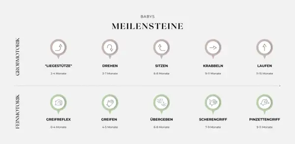 Übersicht der baby entwicklungsphasen: Grobmotorik (Liegestütze, Drehen, Sitzen, Krabbeln, Laufen) und Feinmotorik (Greifreflex, Greifen, Übergeben, Scherengriff, Pinzettengriff).