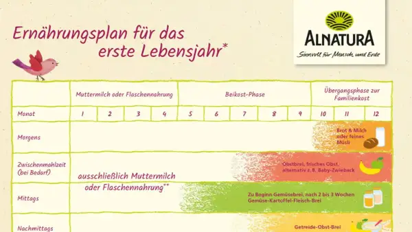Ernährungsplan zeigt, wie lange Babys Brei essen: ab dem 5. Monat Beikost, ab dem 10. Monat Übergang zur Familienkost.