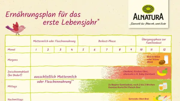 Ernährungsplan für das erste Lebensjahr mit Beikost-Empfehlungen. Zeigt Monat für Monat, was Babys essen können.