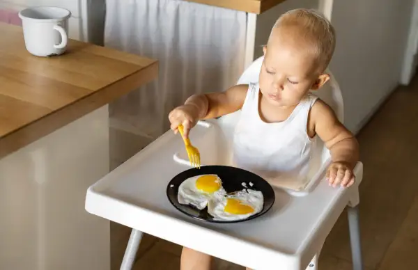 Kleines Kind im Hochstuhl versucht, Spiegeleier mit einer Gabel zu essen. Manche Eltern sehen dies als verbotene Lebensmittel im 2. Lebensjahr.